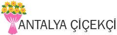 Antalya çiçekçi