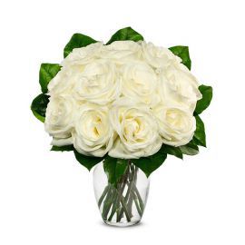 Antalya Florist Vazoda 12 Beyaz Rose