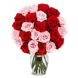 Antalya Florist 