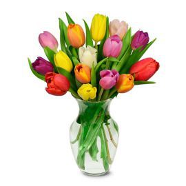 Antalya Florist 